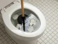 Sturare la vasca da bagno in modo naturale: un water intasato con carta igienica e uno sturalavandini pronto all'uso.