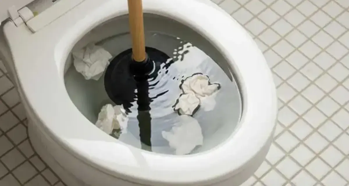 Sturare la vasca da bagno in modo naturale: un water intasato con carta igienica e uno sturalavandini pronto all'uso.