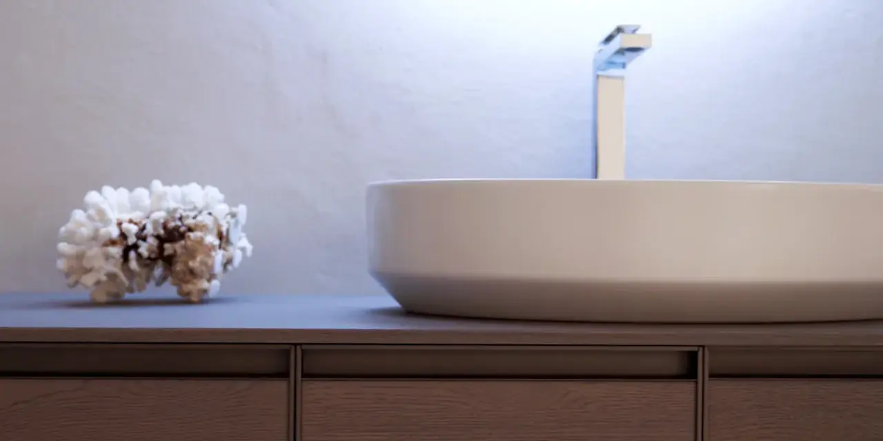 Un moderno lavabo bianco su un mobile in legno scuro, con un pezzo di corallo come decorazione.
