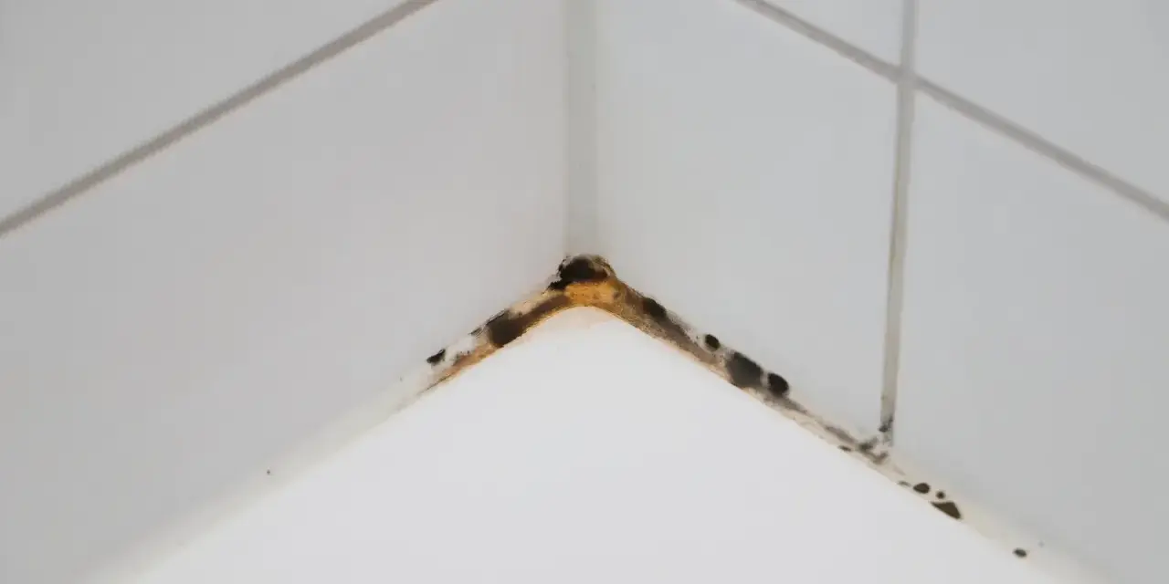 Angolo di un piatto doccia con silicone macchiato da muffa e sporco.