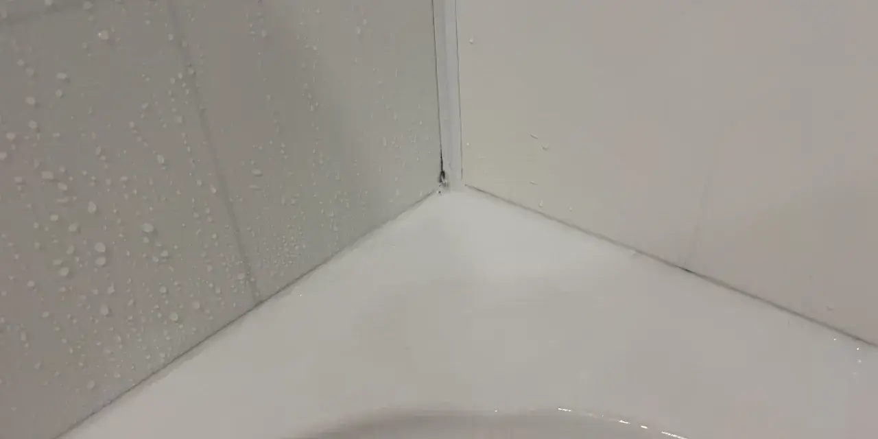 Angolo di una vasca da bagno con piastrelle bagnate e un sigillante bianco appena applicato per sigillare la vasca da bagno.