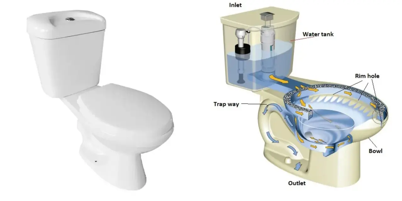 Sezione di un wc che illustra il flusso dell'acqua dalla cisterna alla tazza, passando per il sifone e l'uscita.