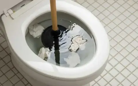 Sturare la vasca da bagno in modo naturale: un water intasato con carta igienica e uno sturalavandini pronto all'uso.