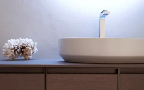 Un moderno lavabo bianco su un mobile in legno scuro, con un pezzo di corallo come decorazione.