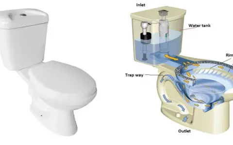 Sezione di un wc che illustra il flusso dell'acqua dalla cisterna alla tazza, passando per il sifone e l'uscita.
