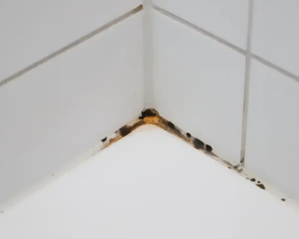 Angolo di un piatto doccia con silicone macchiato da muffa e sporco.