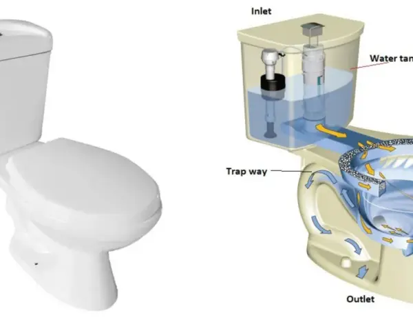 Sezione di un wc che illustra il flusso dell'acqua dalla cisterna alla tazza, passando per il sifone e l'uscita.