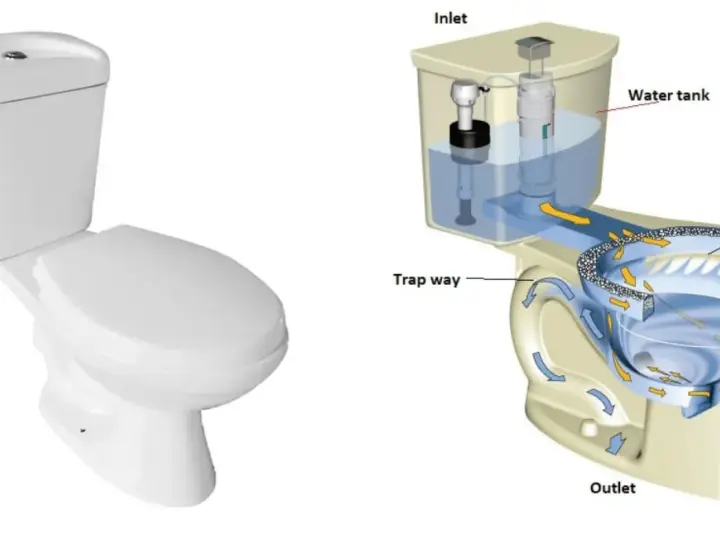 Sezione di un wc che illustra il flusso dell'acqua dalla cisterna alla tazza, passando per il sifone e l'uscita.