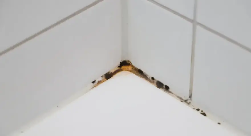 Angolo di un piatto doccia con silicone macchiato da muffa e sporco.