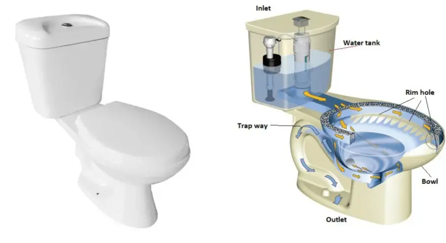 Sezione di un wc che illustra il flusso dell'acqua dalla cisterna alla tazza, passando per il sifone e l'uscita.