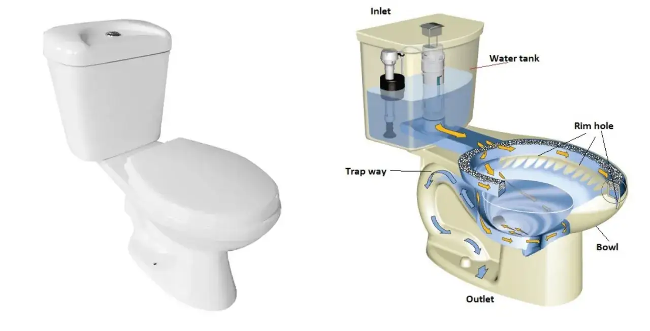 Sezione di un wc che illustra il flusso dell'acqua dalla cisterna alla tazza, passando per il sifone e l'uscita.
