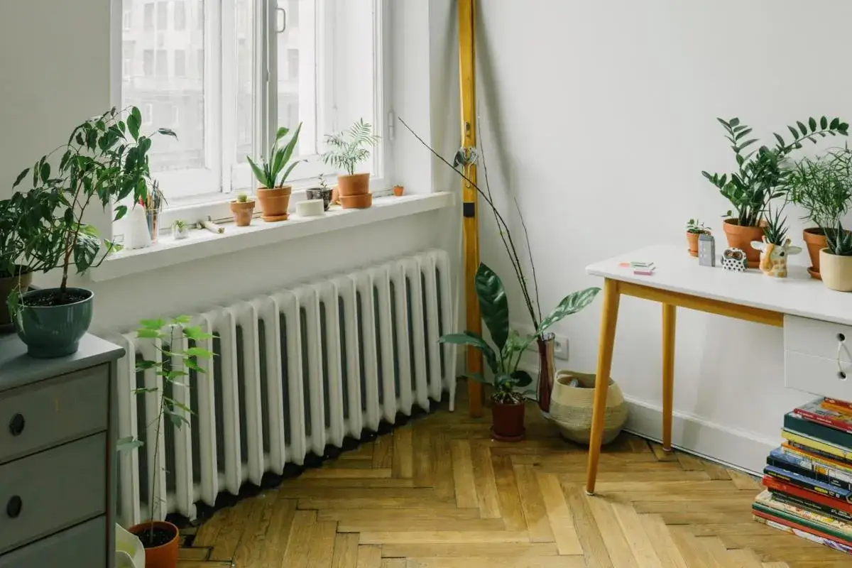 Un angolo accogliente con piante verdi, un vecchio termosifone bianco e un tavolo da lavoro. Il montaggio termosifoni &egrave; quasi invisibile sotto le piante.