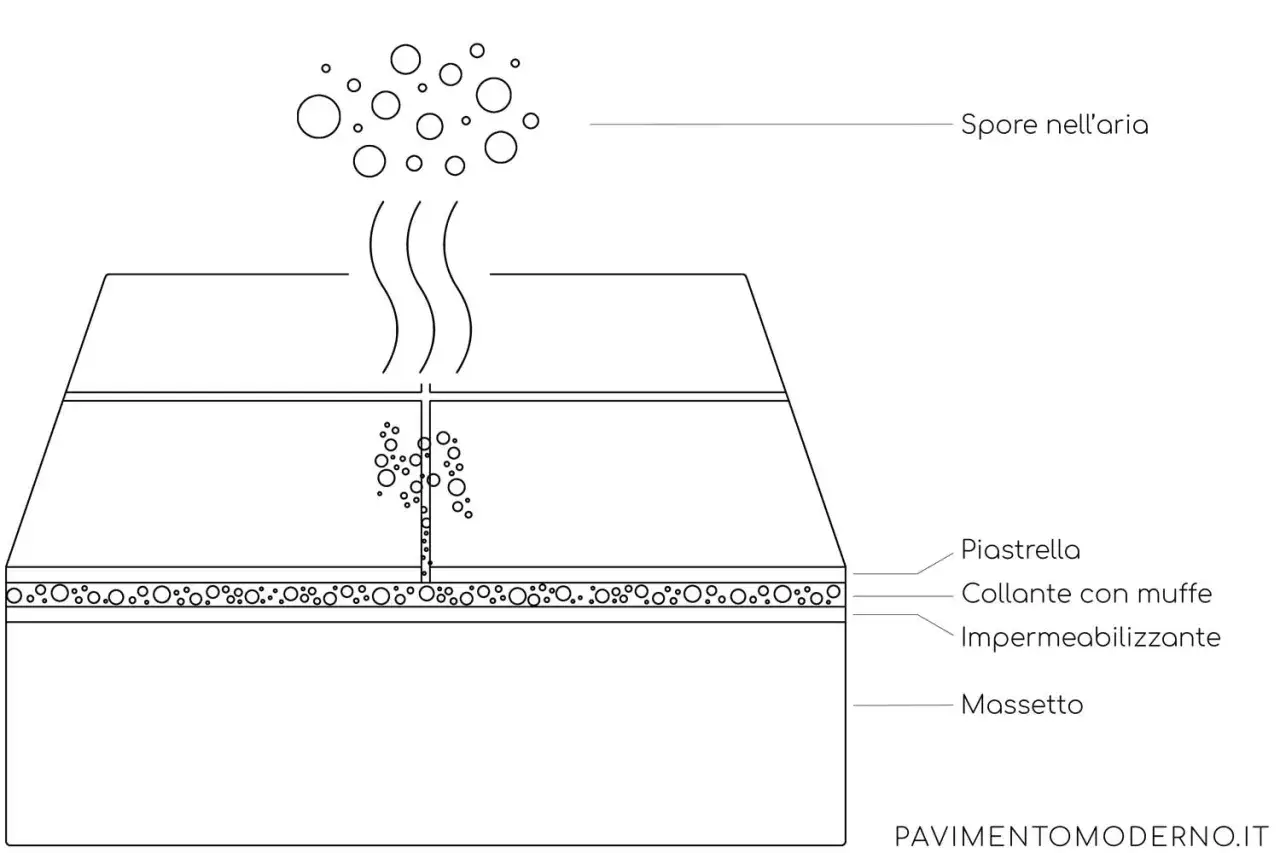 Schema di una doccia a pavimento: spore nell'aria, piastrelle, collante con muffe, impermeabilizzante e massetto.