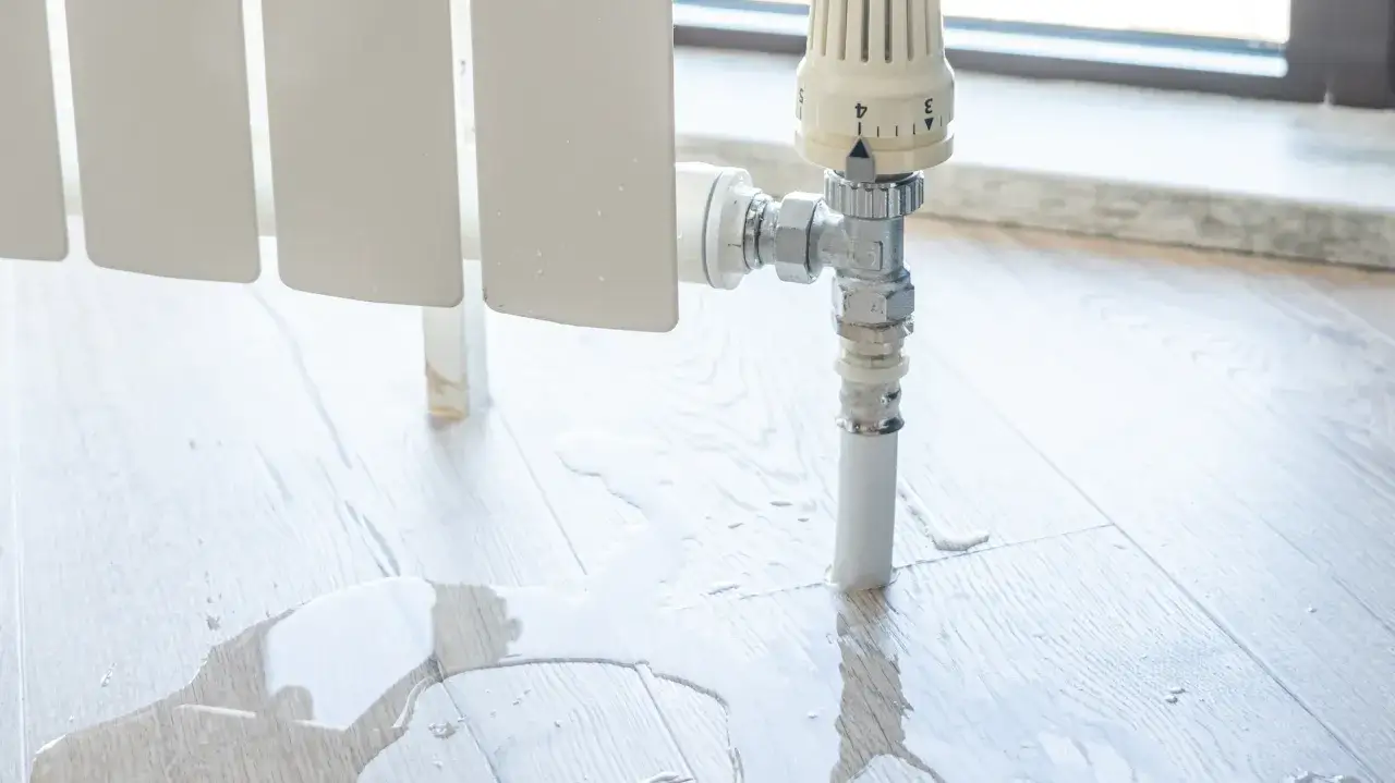 Termosifone perde acqua, ruggine visibile sulla valvola. Pozzanghere sul pavimento in legno.
